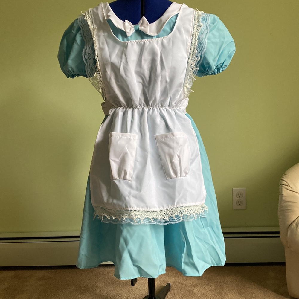 Alice In Wonderland Costume! View 2